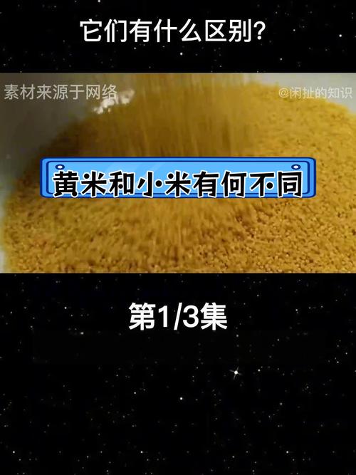 小米有白色的吗？小米里的白色虫子叫什么？-第4张图片-优品飞百科