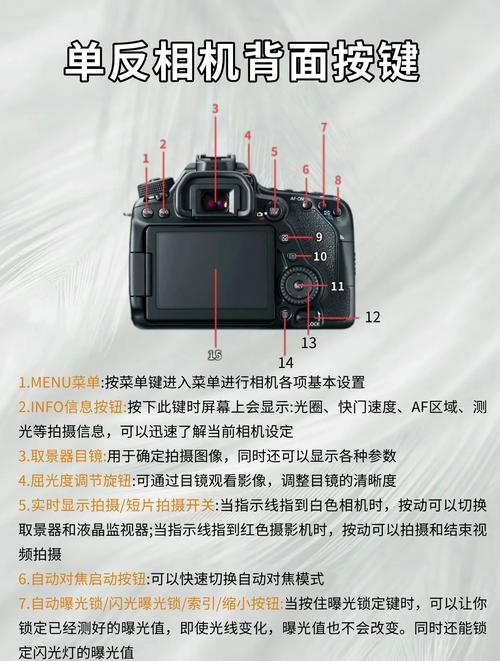 佳能eos70d开机键，佳能77d开机键-第1张图片-优品飞百科