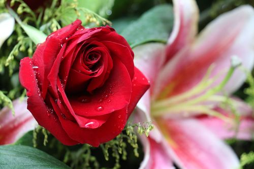 佳能eos70d开机键，佳能77d开机键-第6张图片-优品飞百科