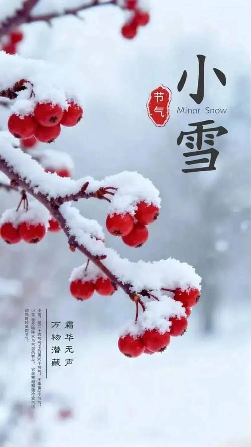 今日小雪天气怎样，k神成名曲-第2张图片-优品飞百科