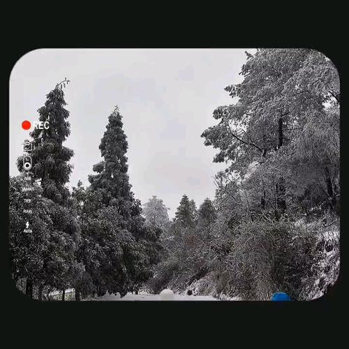 重庆今日天气下雪，今天重庆有没有下雪-第2张图片-优品飞百科