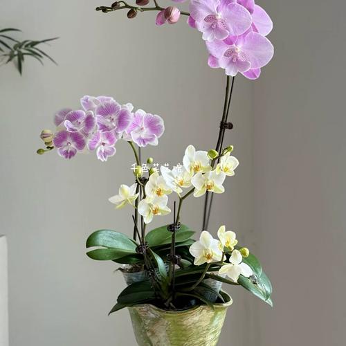 今日朝阳喀左天气？辽宁省朝阳市喀左县今日天气？-第1张图片-优品飞百科