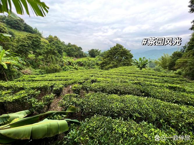 今日揭东新亨天气，今日揭东新亨天气预报-第4张图片-优品飞百科