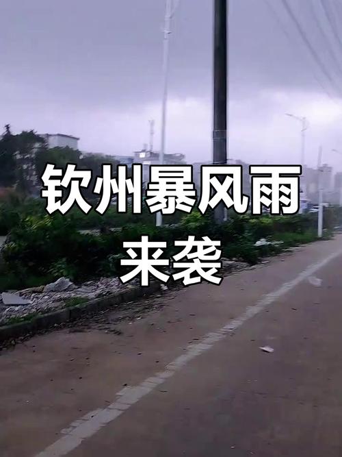 钦州天气预报今日，钦州天气预报今日有雨吗-第5张图片-优品飞百科