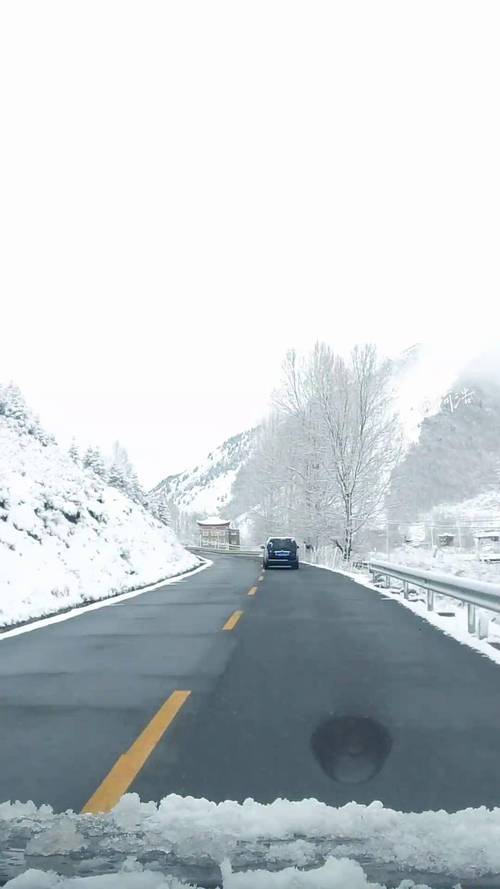 今日天气东北下雪？今天东北大雪？-第1张图片-优品飞百科