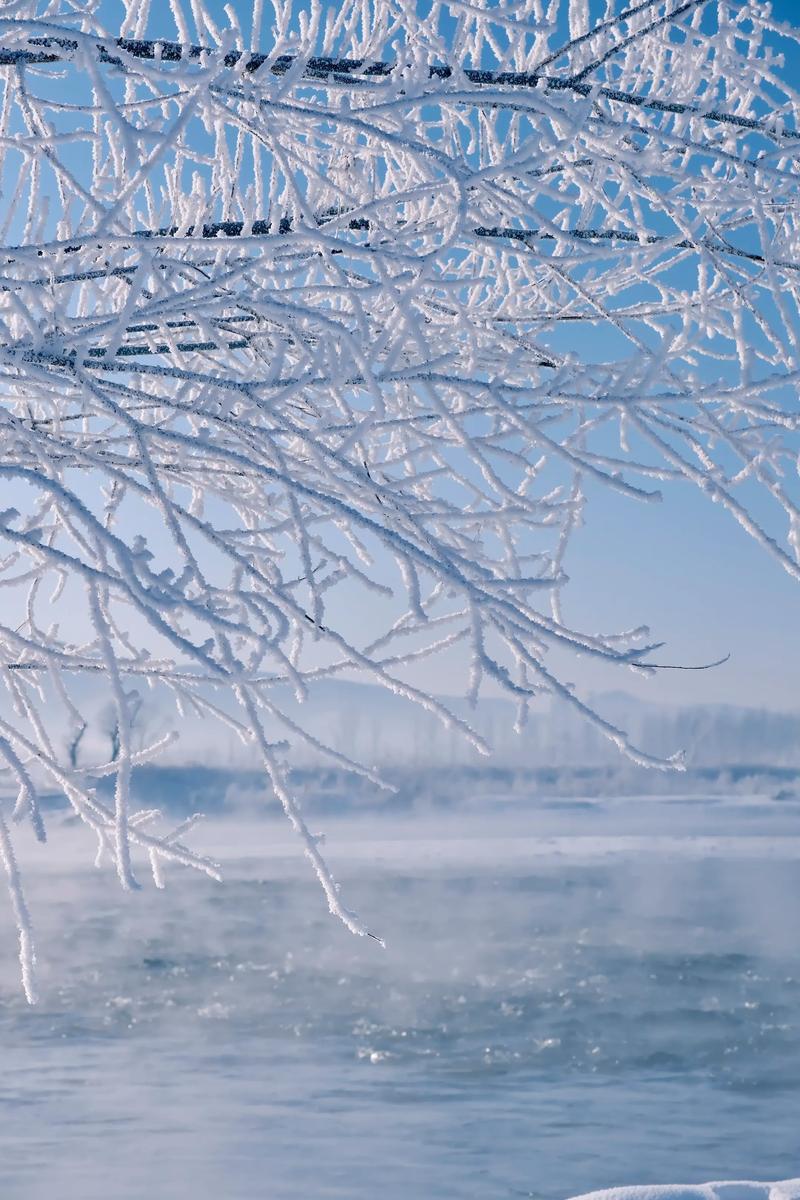 今日天气东北下雪？今天东北大雪？-第2张图片-优品飞百科