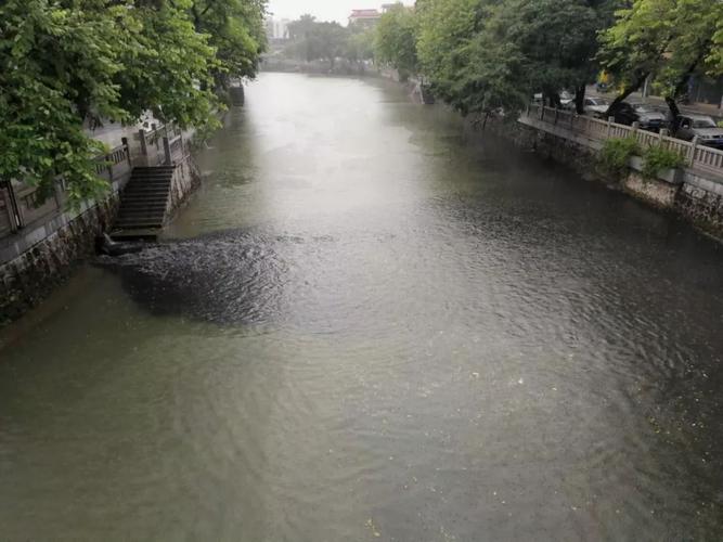今日东莞莞城天气？莞城天气预报？-第4张图片-优品飞百科
