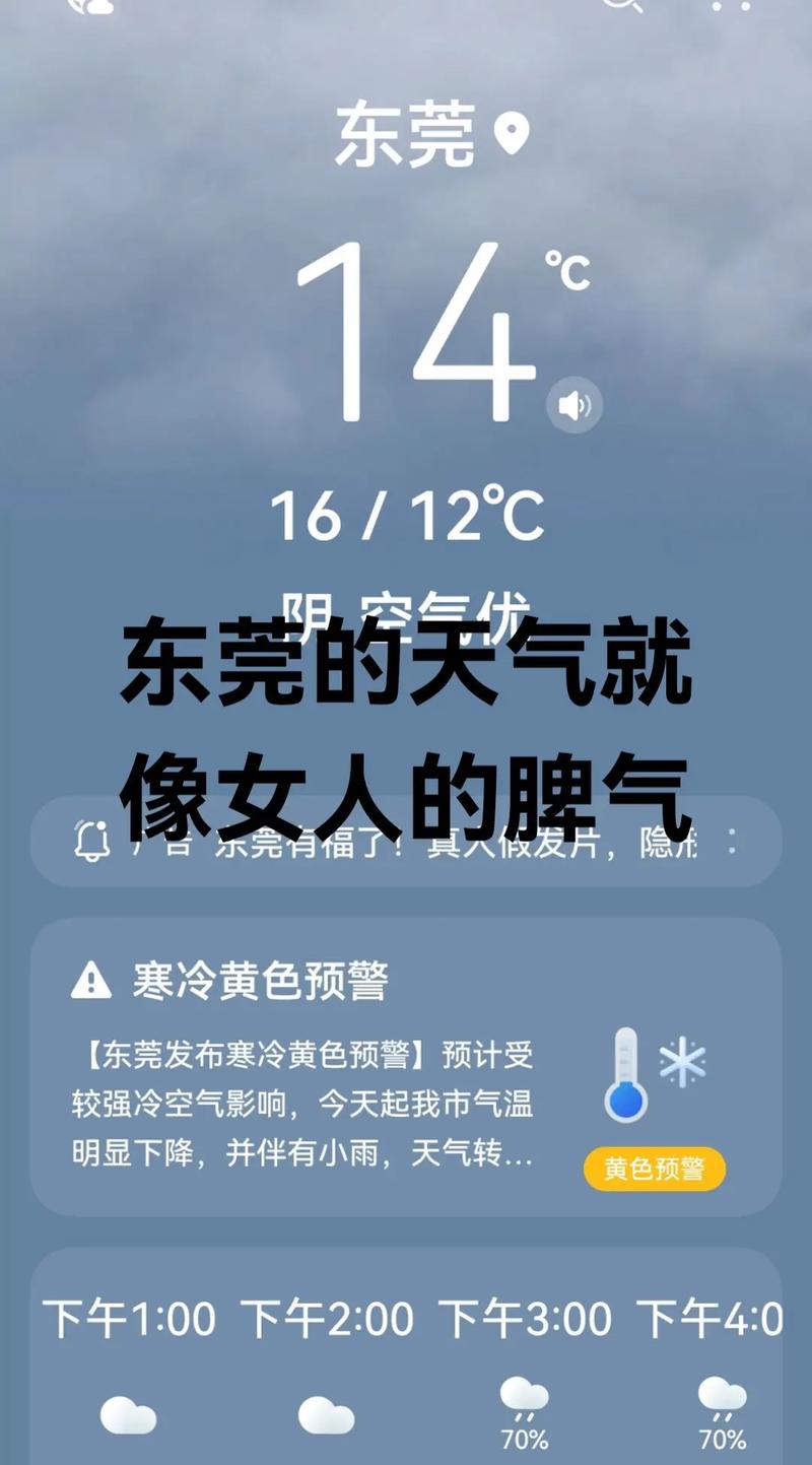 今日东莞莞城天气？莞城天气预报？-第5张图片-优品飞百科