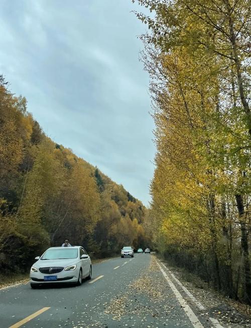 今日最美公路天气，营业执照没有年报影响什么？-第3张图片-优品飞百科