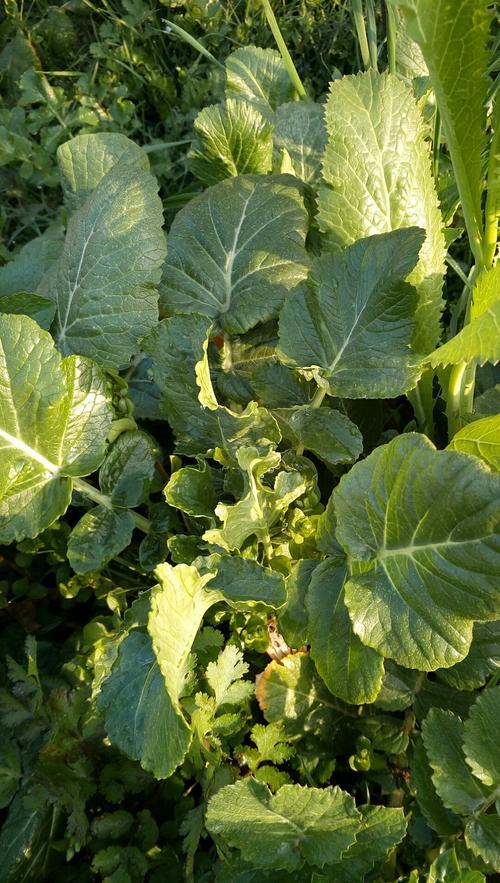 舞钢天气预报今日?河南省舞钢市天气预报一周的?-第4张图片-优品飞百科 舞钢天气预报今日?河南省舞钢市天气预报一周的?-第4张图片-优品飞百科