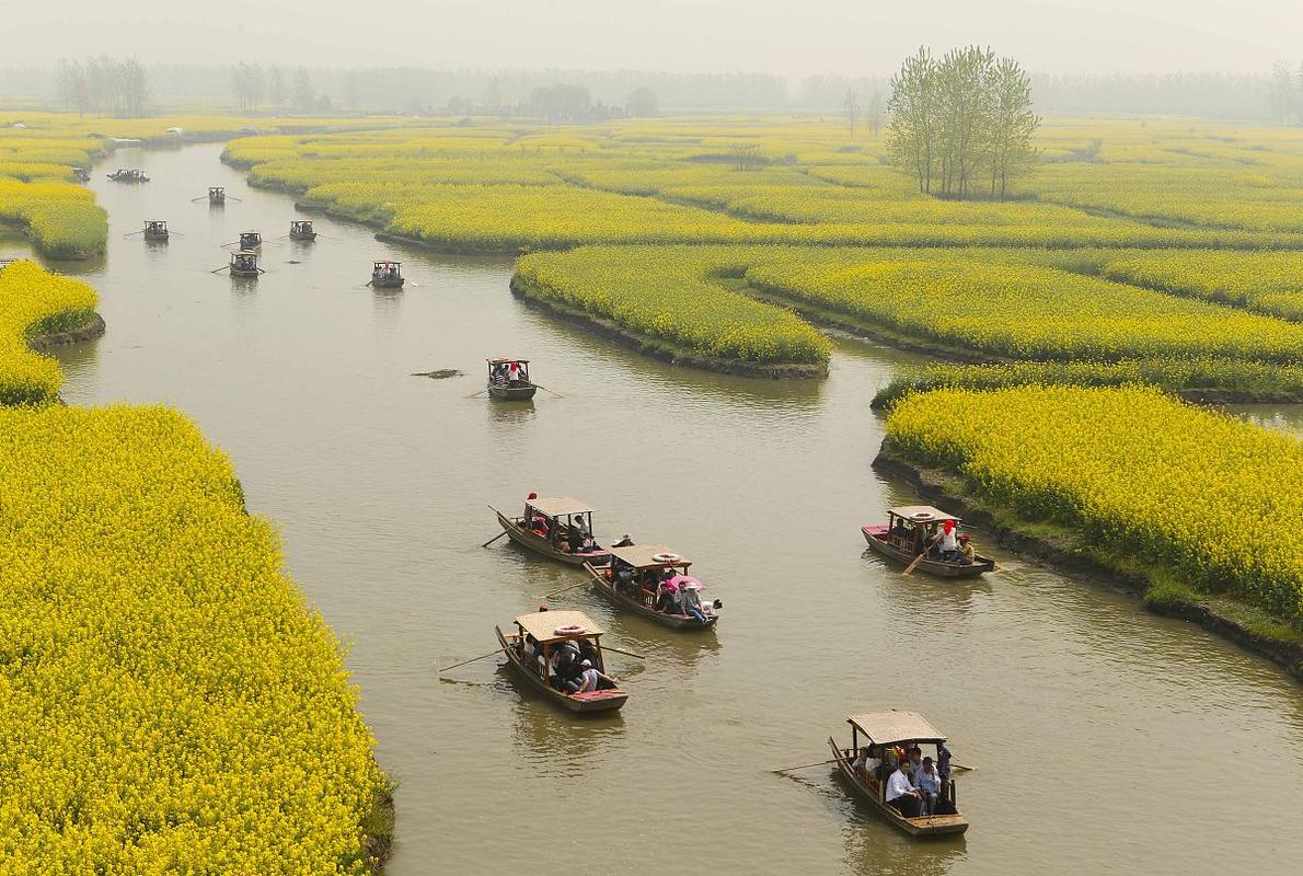 江苏兴化天气今日，今天兴化天气天气预报？-第4张图片-优品飞百科