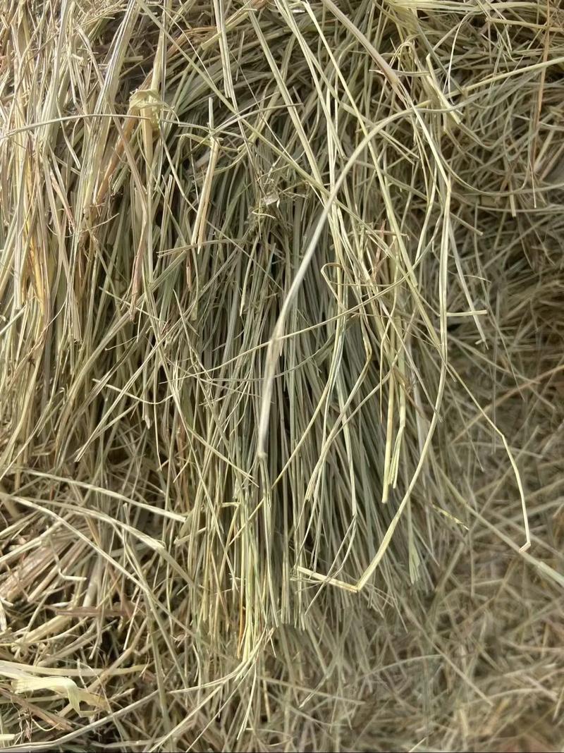 今日德州最新天气，德州今日气温？-第2张图片-优品飞百科