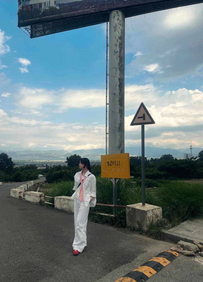 大理下关今日天气的简单介绍-第2张图片-优品飞百科