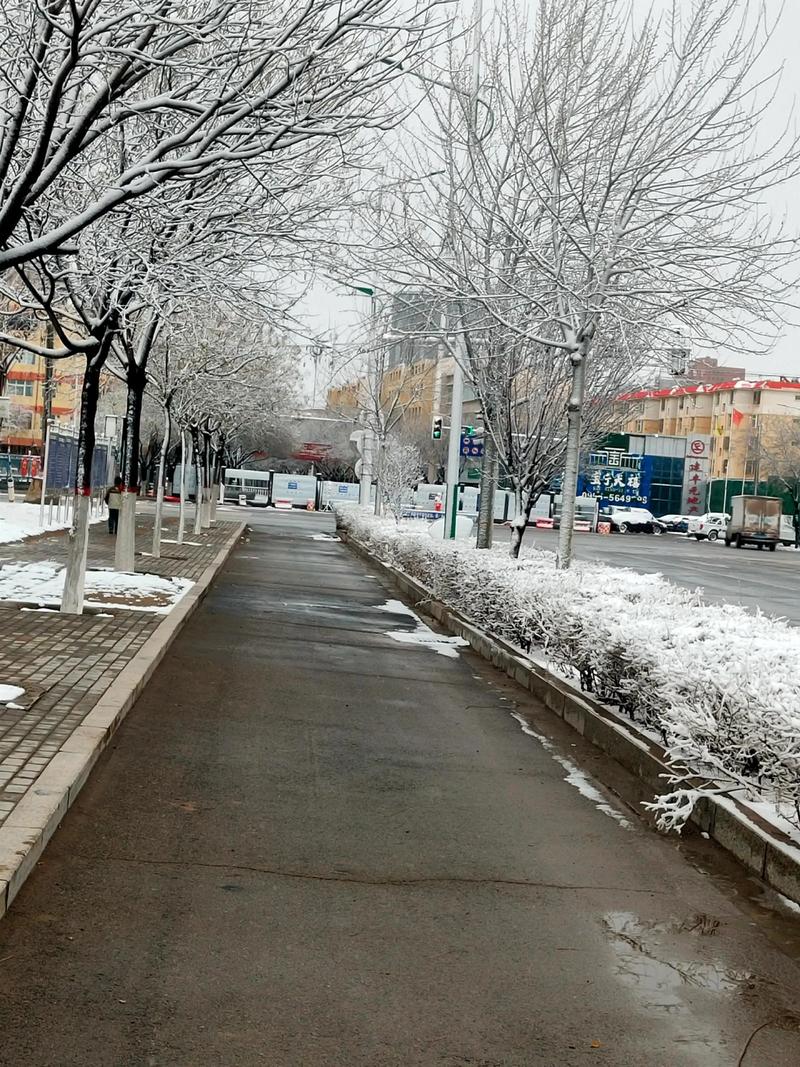 今日天气有雨雪吗，今日天气有雨雪吗英语？-第4张图片-优品飞百科