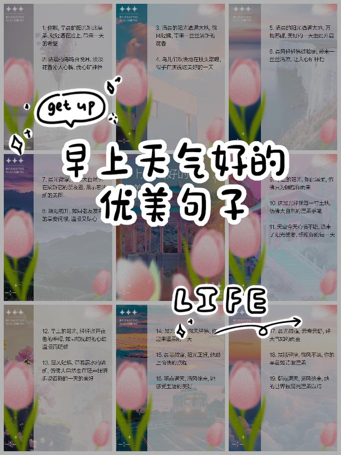 今日休息日的天气，今日休息的图片-第2张图片-优品飞百科