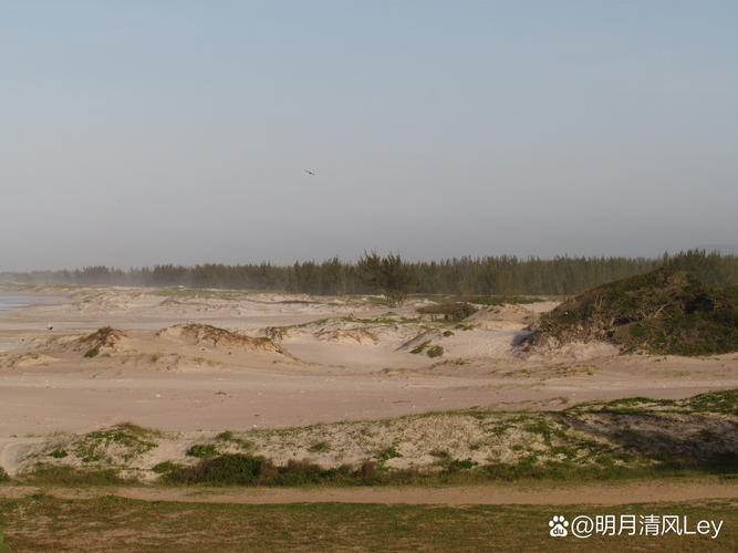 沙区今日天气情况，今天天气预报24小时沙河市区