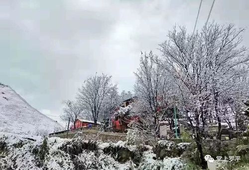 罗平马街今日天气，罗平马街地图？