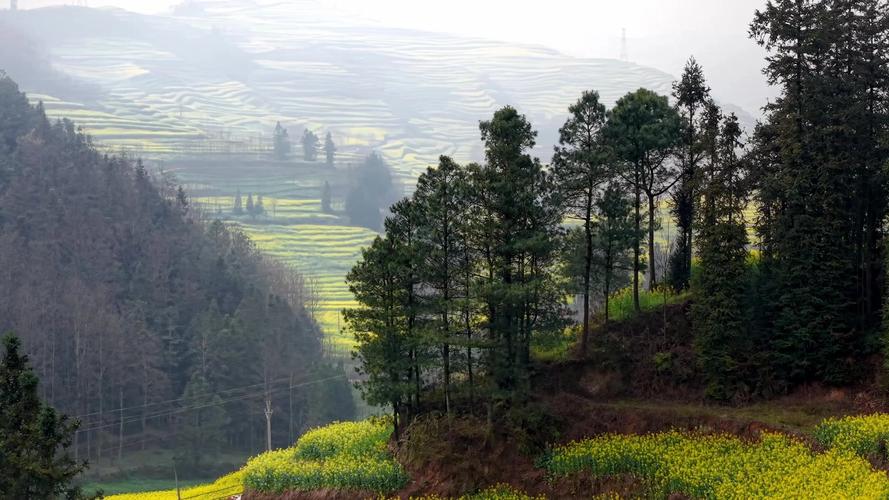 罗平马街今日天气，罗平马街地图？-第5张图片-优品飞百科