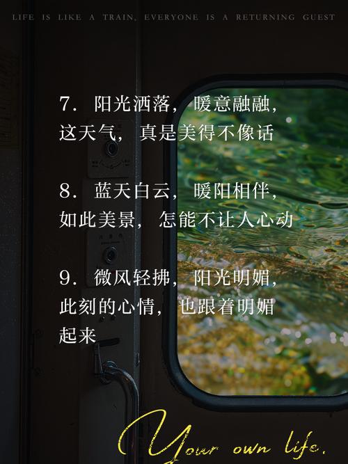 今日份天气晴文案，今天天气真是好文案-第2张图片-优品飞百科