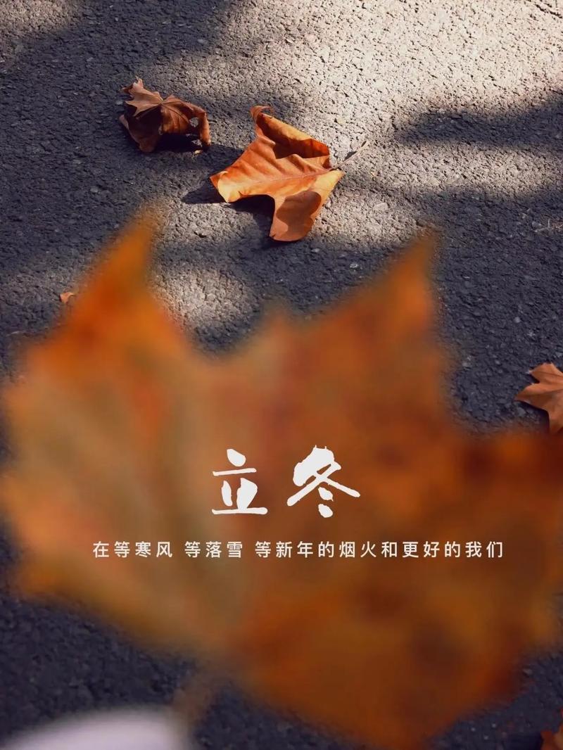 今日立冬天气冷吗，今日立冬是冬至吗？-第2张图片-优品飞百科