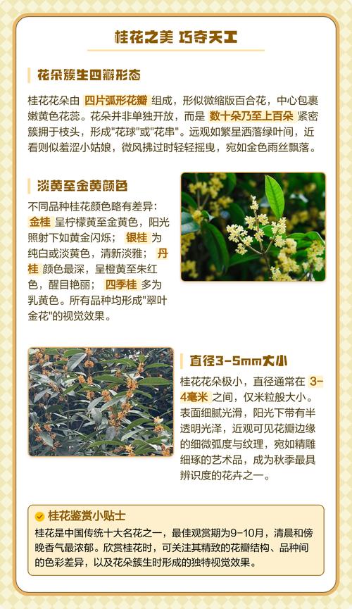 海南花场今日天气，海南花场今日天气怎么样？-第2张图片-优品飞百科