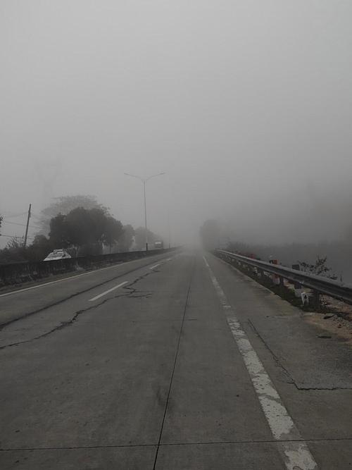 郑州今日蓝天天气，梦见把鳖打死？-第5张图片-优品飞百科