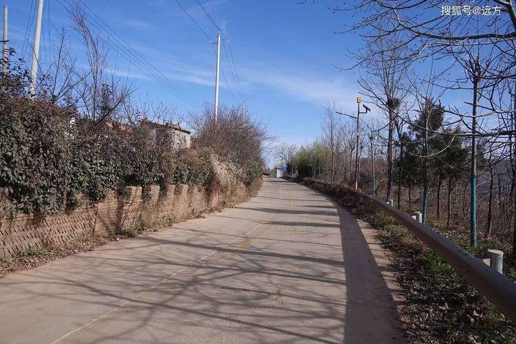 郑州今日蓝天天气，梦见把鳖打死？-第6张图片-优品飞百科