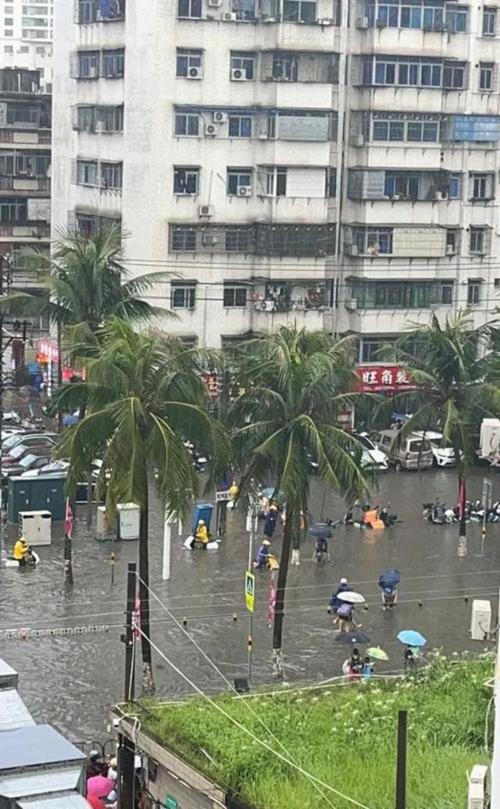 海口今日天气解说，今日海囗天气预报？-第4张图片-优品飞百科