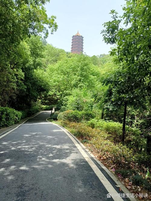 株州石峰今日天气？株州石峰今日天气情况？-第3张图片-优品飞百科