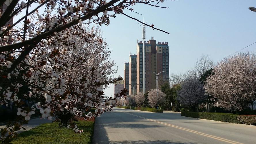 今日周口沈丘天气？今天周口沈丘天气？