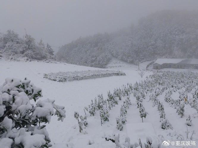 今日天气重庆开县，今日天气重庆开县天气情况-第6张图片-优品飞百科