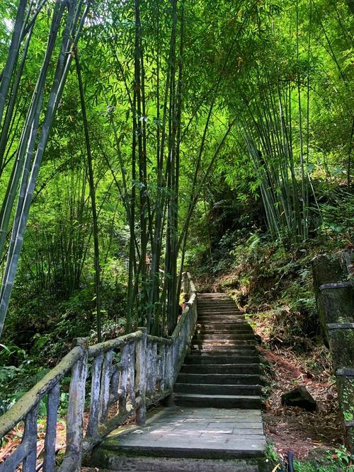 乐山甘江今日天气？乐山市甘江镇有多少人口？-第3张图片-优品飞百科
