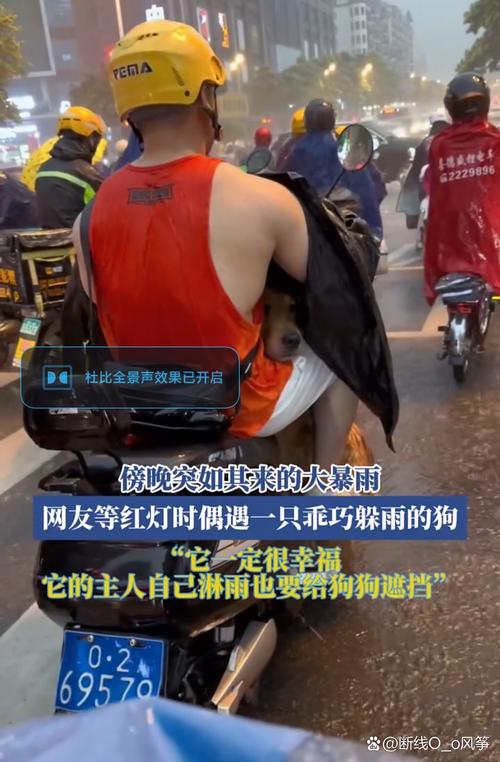 平舆今日天气路况，河南平舆今天24小时天气预报查询-第2张图片-优品飞百科