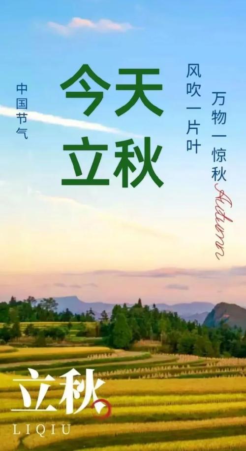 今日立秋天气渐冷，今日立秋热吗