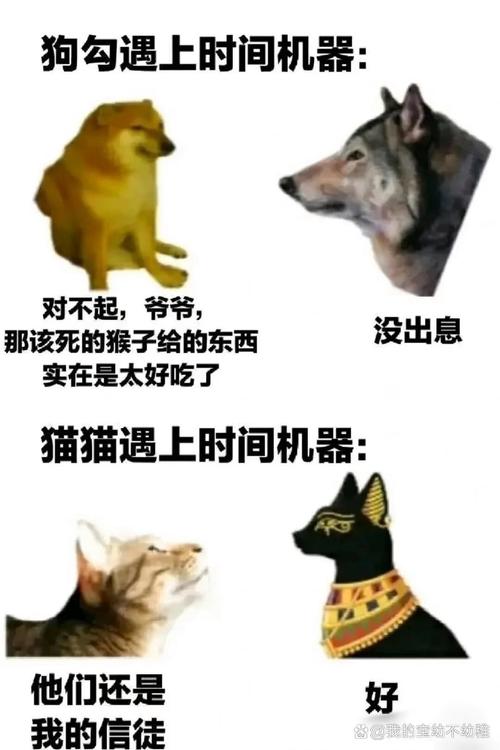 今日份的天气预报？今曰的天气预报？-第4张图片-优品飞百科
