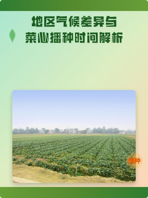 新疆乌苏今日天气？乌苏天气预报一周7天？-第4张图片-优品飞百科