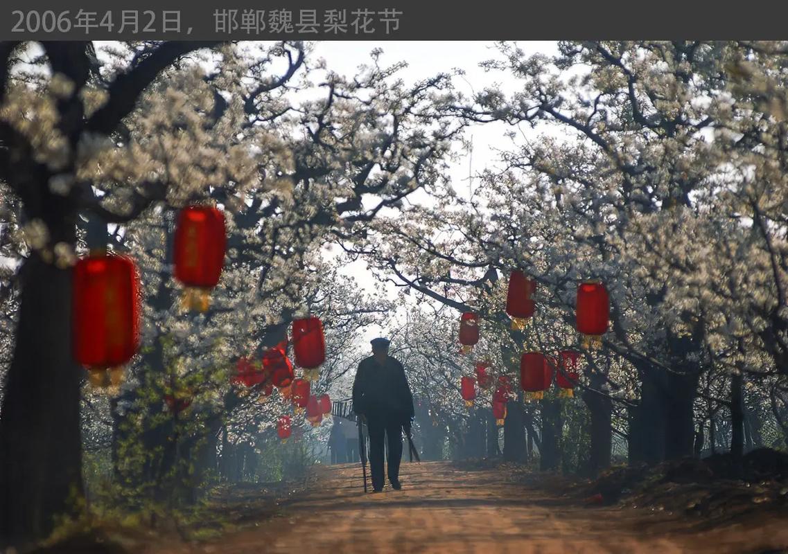 今日天气河北魏县？河北省魏县天气预报15天？-第3张图片-优品飞百科
