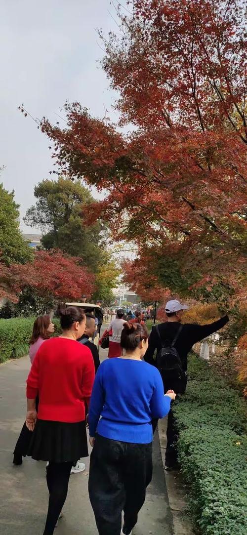 南通刘桥今日天气？南通刘桥今日天气预报？-第4张图片-优品飞百科