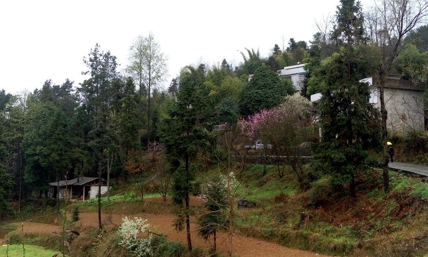 今日铜仁天气温度，铜仁今天天气情况-第2张图片-优品飞百科