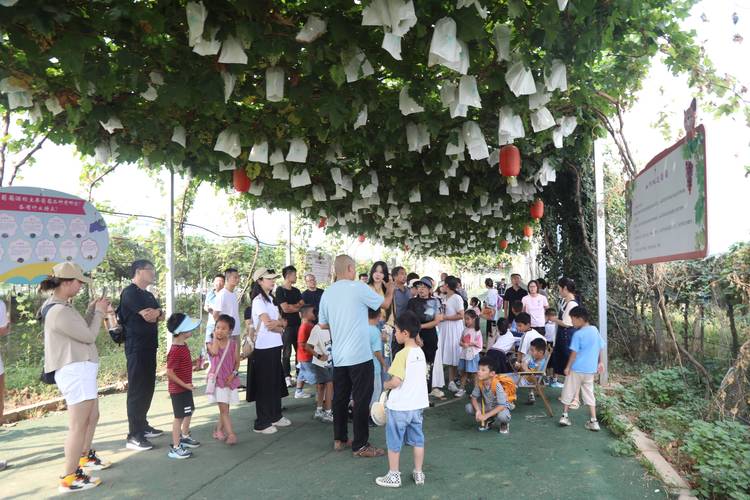 今日自贡大安天气，自贡大安天府旅游名县？-第2张图片-优品飞百科
