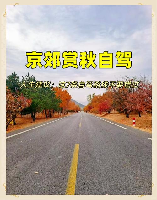北皋今日天气情况，北硌天气？-第2张图片-优品飞百科