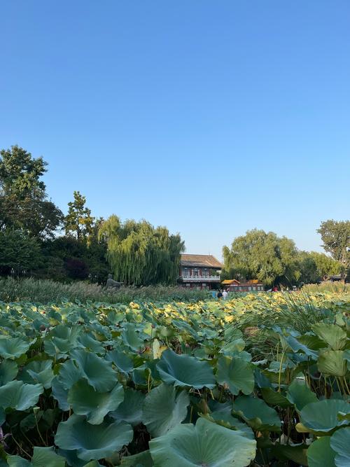 北皋今日天气情况，北硌天气？-第5张图片-优品飞百科
