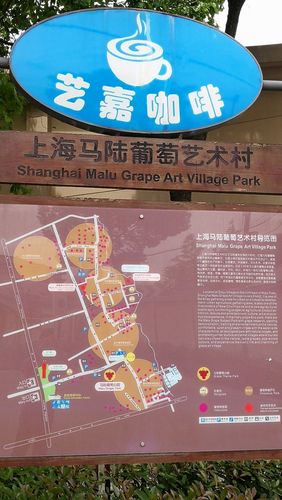 嘉定今日天气预报？嘉定今天实时天气？-第1张图片-优品飞百科