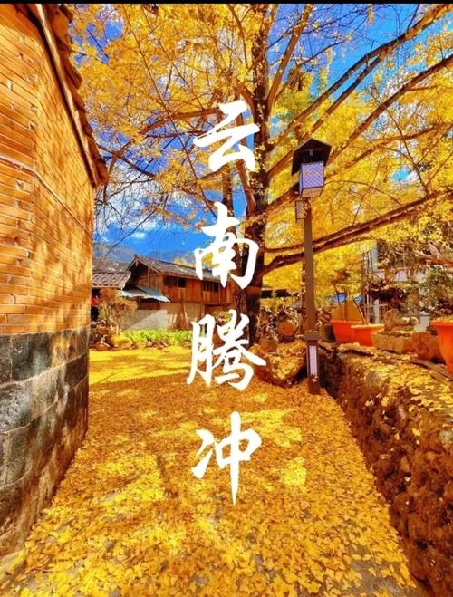 东山草场今日天气？上海天艺书画院院长？-第2张图片-优品飞百科