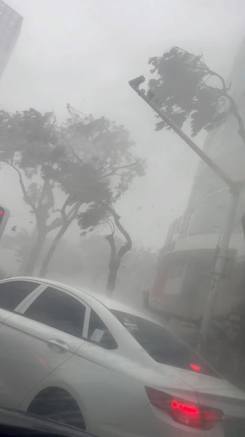 泉州今日天气现状？泉州今日天气现状查询？