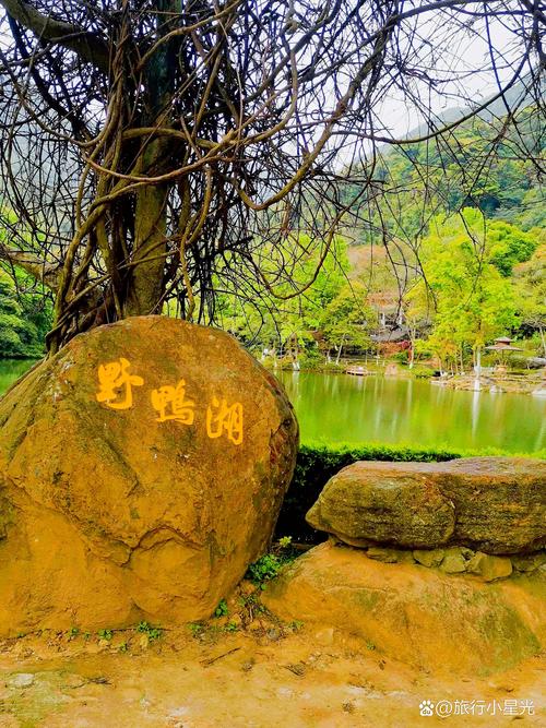 河源历史今日天气，河源近几天的天气？-第1张图片-优品飞百科