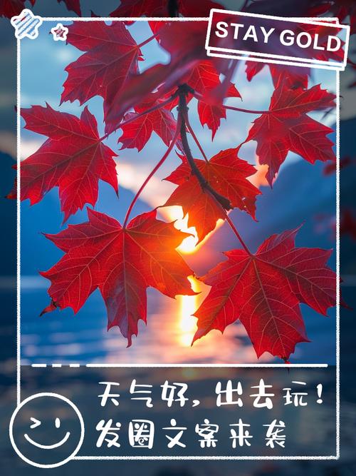 上海今日天气文案，上海的今天气温？-第2张图片-优品飞百科