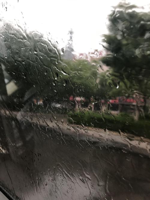 今日天气山东滨州，滨州今天的天气状况？-第3张图片-优品飞百科