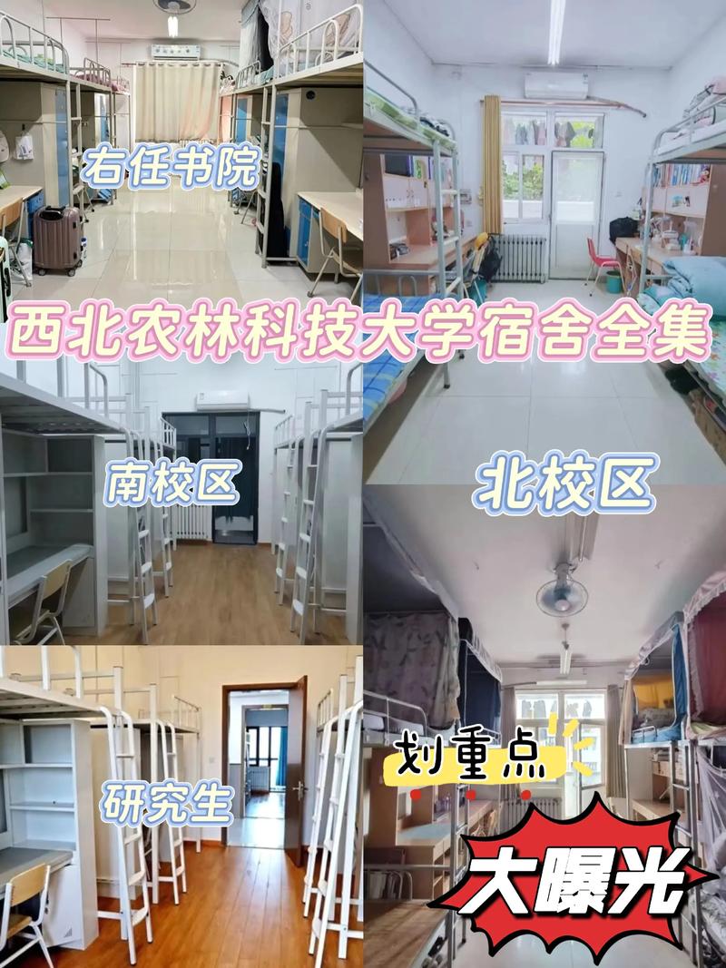 今日杨陵天气如何，杨陵天气雨报？-第3张图片-优品飞百科