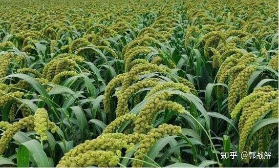 今日洛宁大雨天气？洛宁县今天什么天气？-第2张图片-优品飞百科